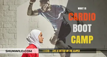 Cardio Boot Camp Explained: High-Intensity Workouts for Ultimate Fitness