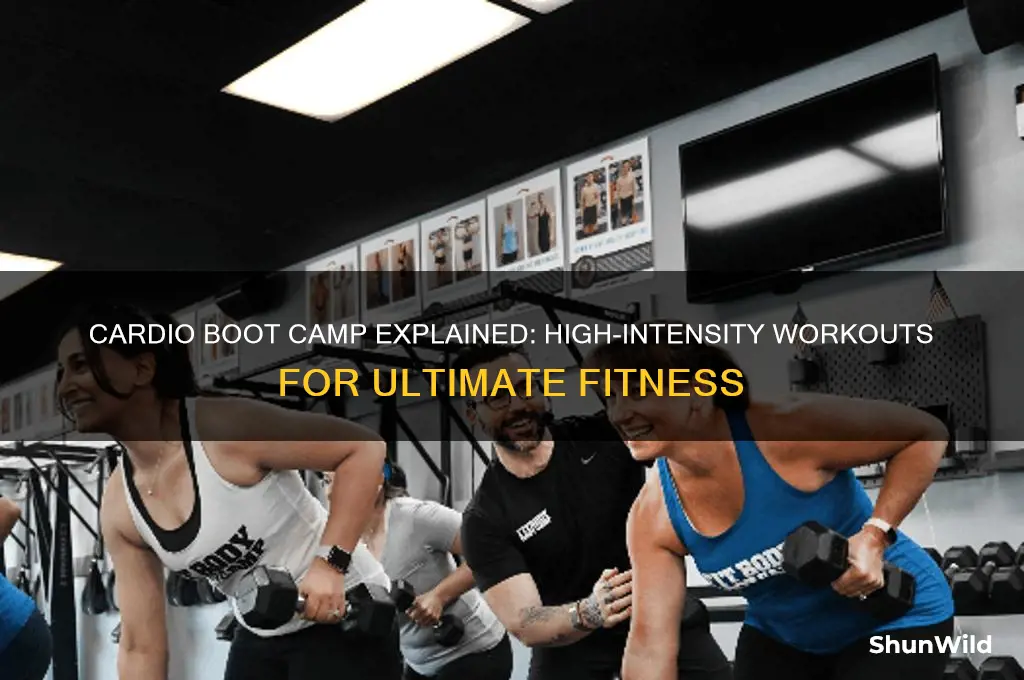 what is cardio boot camp