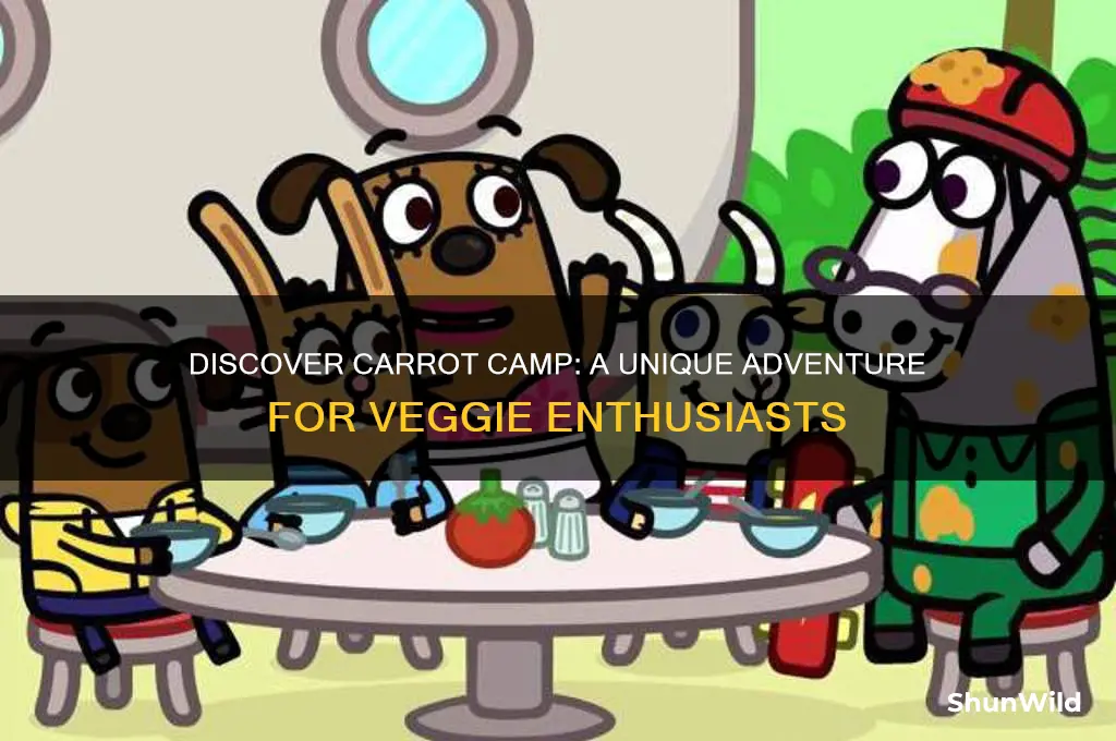 what is carrot camp