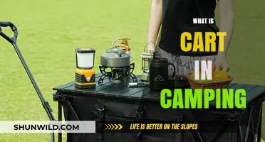 What is a Camping Cart? Essential Gear for Outdoor Adventures