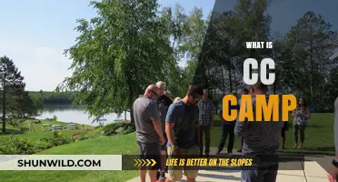 Exploring CC Camp: Creative Commons, Community, and Collaboration Explained