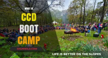Understanding CCD Boot Camp: A Comprehensive Guide to Its Purpose and Benefits