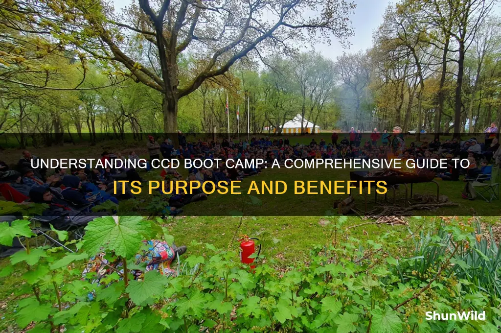 what is ccd boot camp