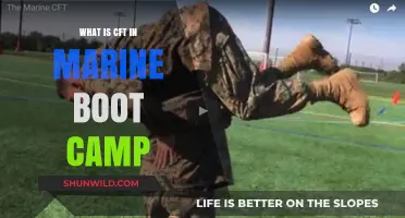 Understanding CFT: A Key Component of Marine Boot Camp Training