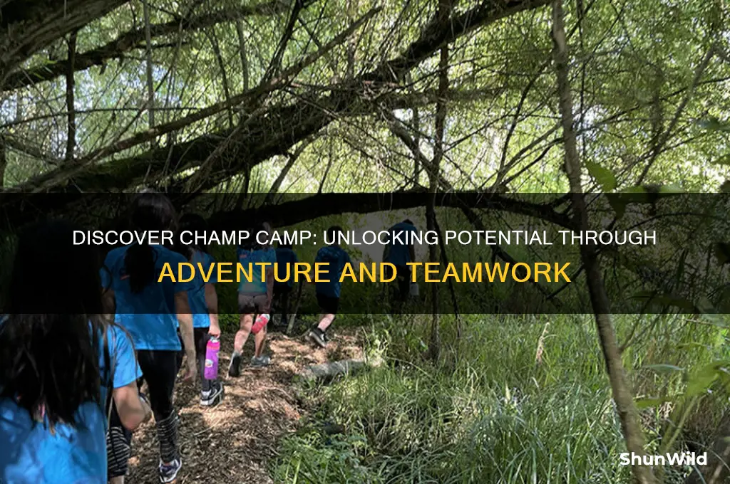 what is champ camp