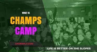 Discover Champs Camp: A Transformative Youth Leadership Adventure Explained