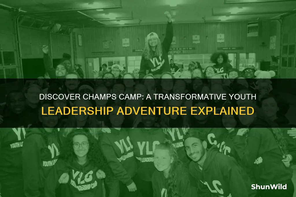 what is champs camp