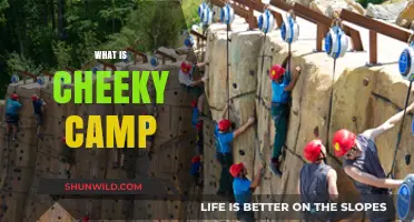 Unveiling Cheeky Camp: A Fun, Bold, and Playful Adventure Explained