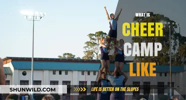 Experience Cheer Camp: Fun, Skills, Teamwork, and Unforgettable Memories