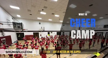 Discover the Spirit: What is Cheer Camp and Why It Matters