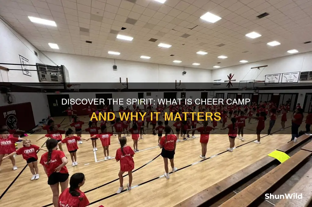 what is cheer camp