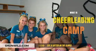 Discover Cheerleading Camp: Skills, Teamwork, and Fun Explained