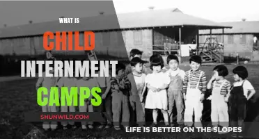 Understanding Child Internment Camps: History, Impact, and Human Rights Concerns