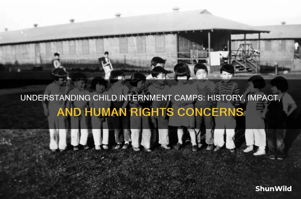 what is child internment camps