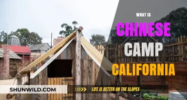 Exploring Chinese Camp: California's Historic Gold Rush Town Revealed