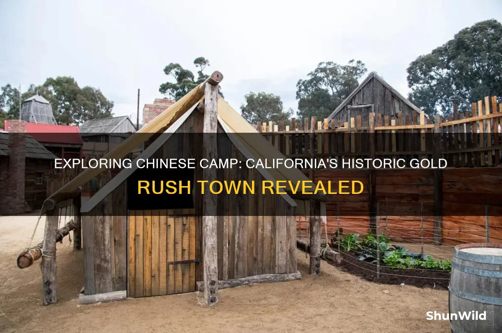 what is chinese camp california