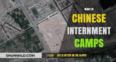 Understanding China's Uyghur Detention Camps: A Human Rights Crisis Explained