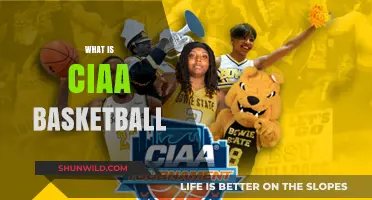 The CIAA Basketball Experience: More Than Just a Game