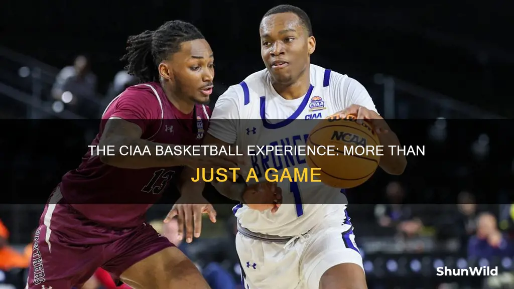 what is ciaa basketball