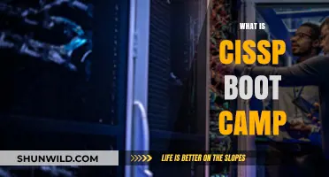 Understanding CISSP Boot Camp: Accelerated Training for Cybersecurity Professionals