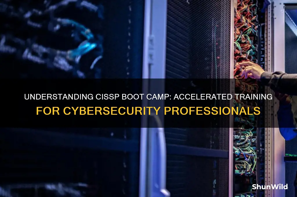 what is cissp boot camp