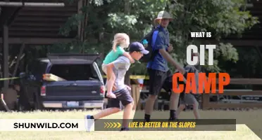 Exploring CIT Camp: A Comprehensive Guide to Its Purpose and Benefits