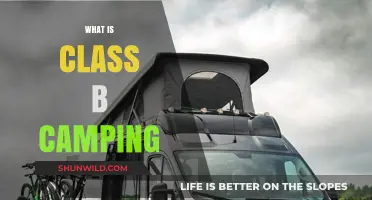 Exploring Class B Camping: A Beginner's Guide to Van Life Adventures
