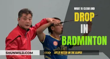 Understanding Clear and Drop Shots in Badminton