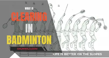 Understanding Badminton Clearing Techniques