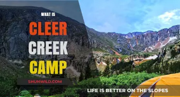 Discover Cleer Creek Camp: A Hidden Outdoor Retreat and Adventure