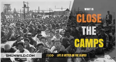 Close the Camps: Understanding the Movement and Its Urgent Call to Action