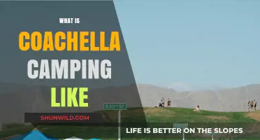 Coachella Camping: A Desert Adventure of Music, Fun, and Community