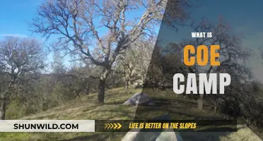 Understanding the Purpose and Benefits of a COE Camp Experience