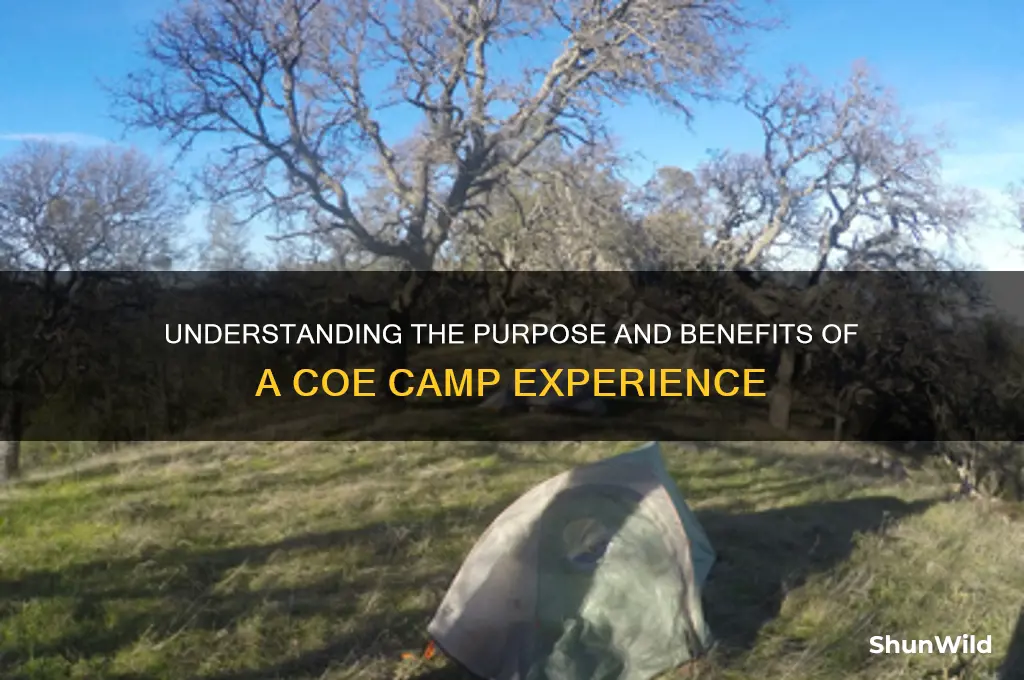 what is coe camp