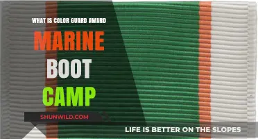 Understanding the Color Guard Award in Marine Boot Camp