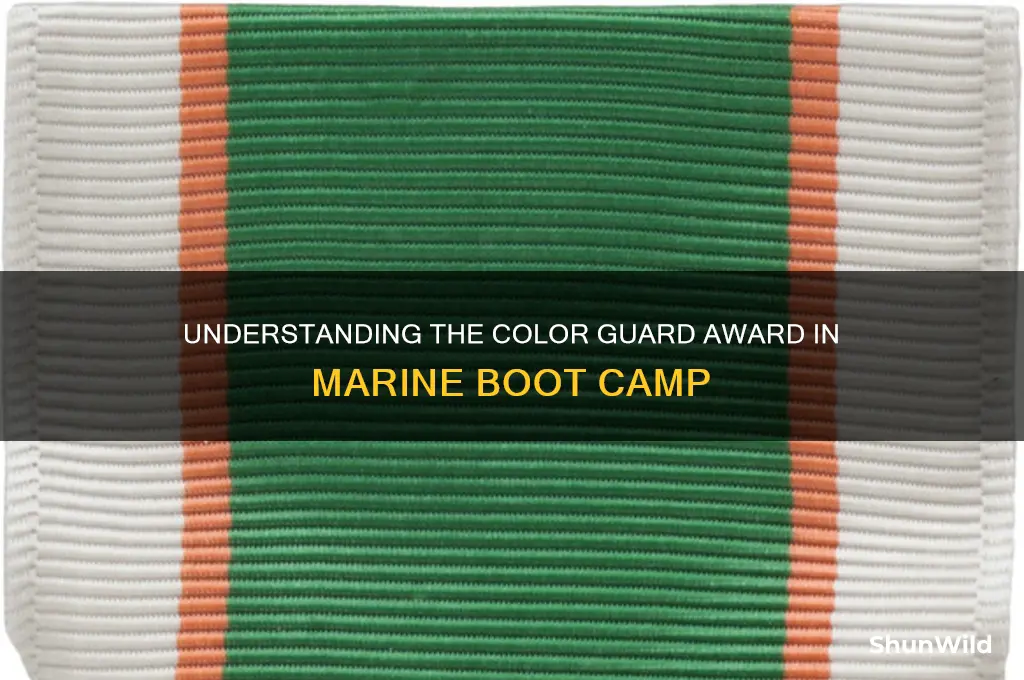 what is color guard award marine boot camp