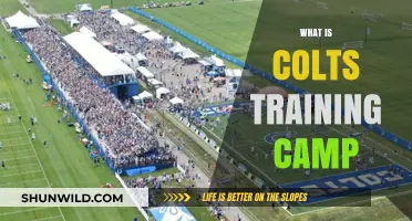 Colts Training Camp: Unveiling the Team's Preseason Preparation Journey