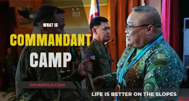 Understanding Commandant Camp: Purpose, Structure, and Key Responsibilities Explained
