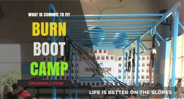 Commit to Fit Burn Boot Camp: Transform Your Fitness Journey
