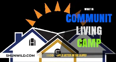 Exploring Community Living Camp: Benefits, Activities, and Shared Experiences