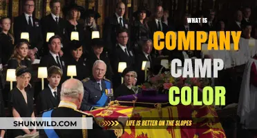 Understanding Company Camp Color: Purpose, Benefits, and Implementation Tips