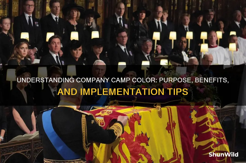 what is company camp color