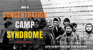 Understanding Concentration Camp Syndrome: Trauma, Survival, and Long-Term Effects