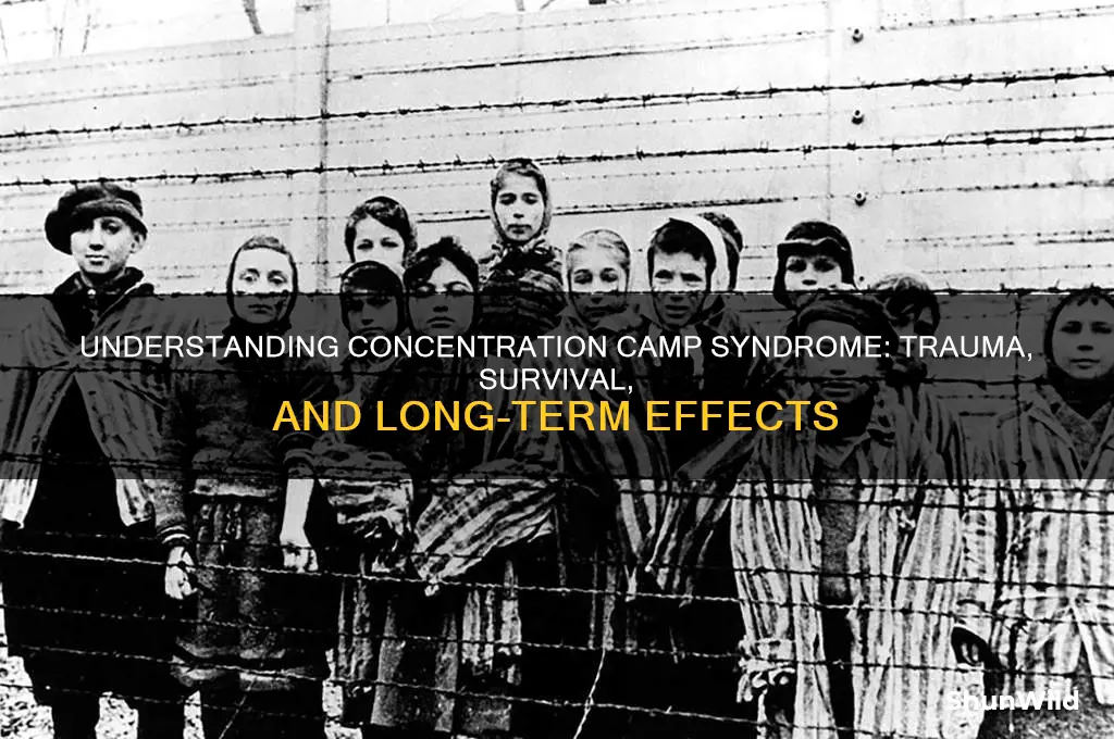 what is concentration camp syndrome