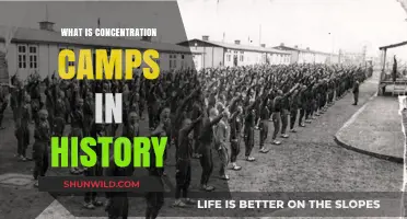 Understanding Concentration Camps: A Dark Chapter in Human History