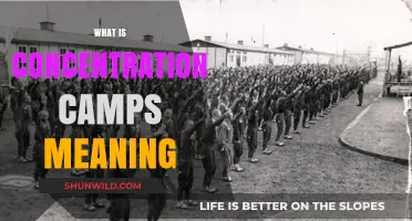 Understanding Concentration Camps: Definition, History, and Impact Explained