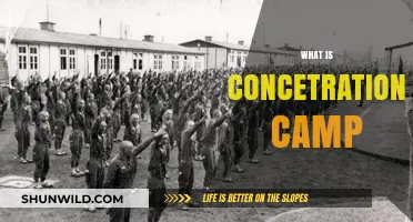 Understanding Concentration Camps: History, Purpose, and Human Impact Explained