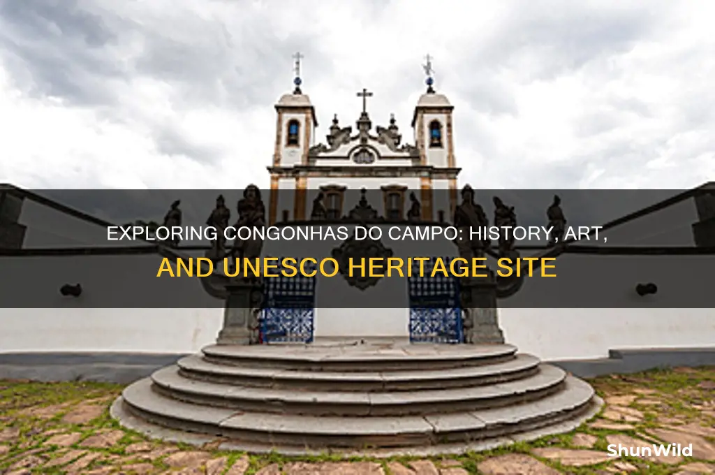what is congonha do campo