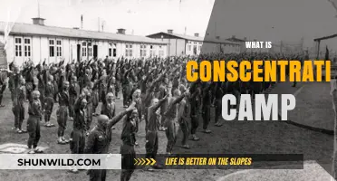 Understanding Concentration Camps: History, Purpose, and Lasting Impact Explained