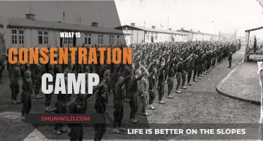 Understanding Concentration Camps: History, Purpose, and Human Impact Explained